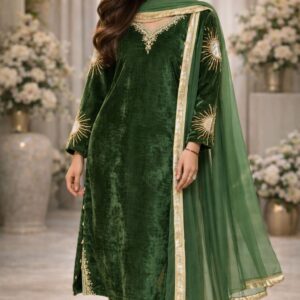 Heavy embroidered applique velvet